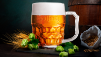 svijany pivo Svátek
